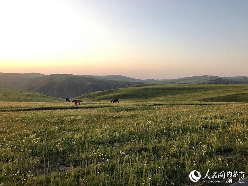 Mɽݵrԭ          Mɽݵrԭ         12գɹ Lcףɹ΅^70ꡱWjýwF˃ɹĸɽݵrԭxvaղԭ    xvaSϲԭξ^C_ȼġC_rԭţBϹȡSС悡Sϵ|@˹̫ɭֹ@ݰ硢nB֡rҰЇòء^SĴԭ֮һǃɹrԭ֮һЇԭ֮ĺw^ЇߵĴԭ֮һɽݵrԭ֮һҲǾx׶ăɹŴԭ     