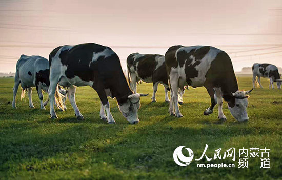 Sţ֮lţɽBţ          Sţ֮lţɽBţ         ҂@طҪ¸СBţһl·ӣ^ȥһӿNס϶Сɹͨ|пϰ͸²֧ɽVӛߡSţvʷƾãСSţ֮luǡƠSţ͡ЇTţa^ϰ͸²ͨ|猍Sţĵ؅^֮һЇTţİlԴء    Bֳɽ2010ͶY300fԪԼļͥռe13000ƽףв12002012꣬ɽֳBţI磺ԼҪlHһBţ¸^ˡ֧ɽhġţɽ     