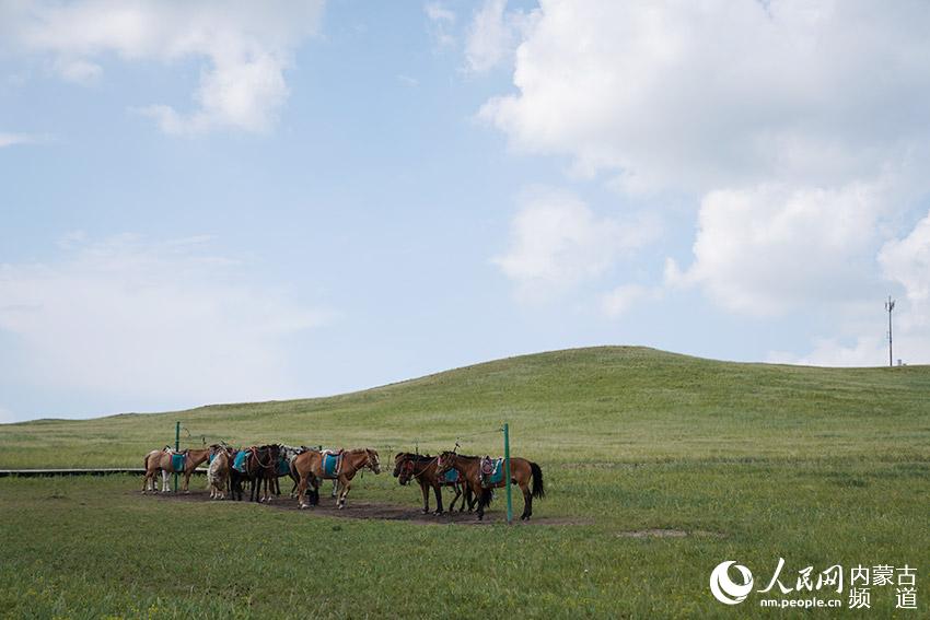 美麗的烏拉蓋草原。師博攝