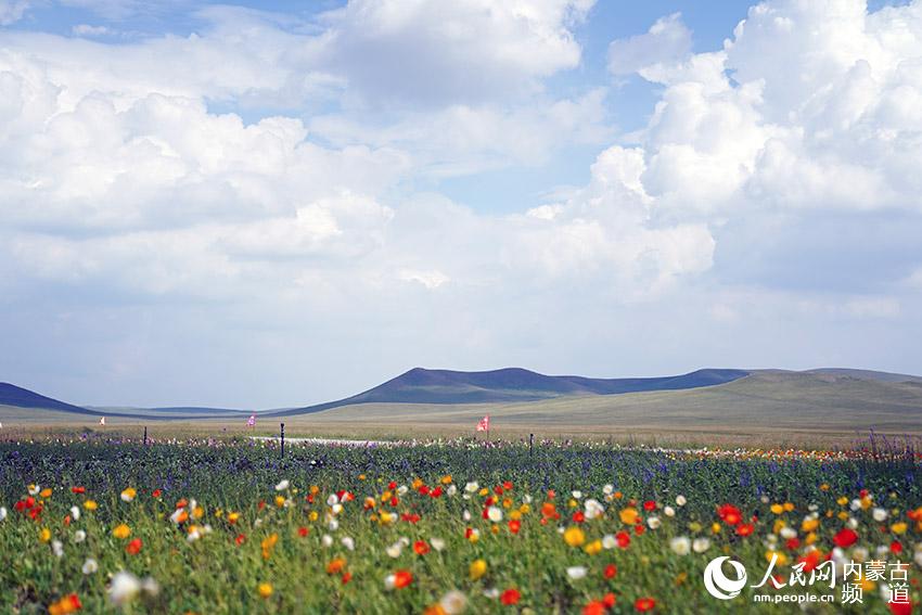 美麗的烏拉蓋草原。師博攝