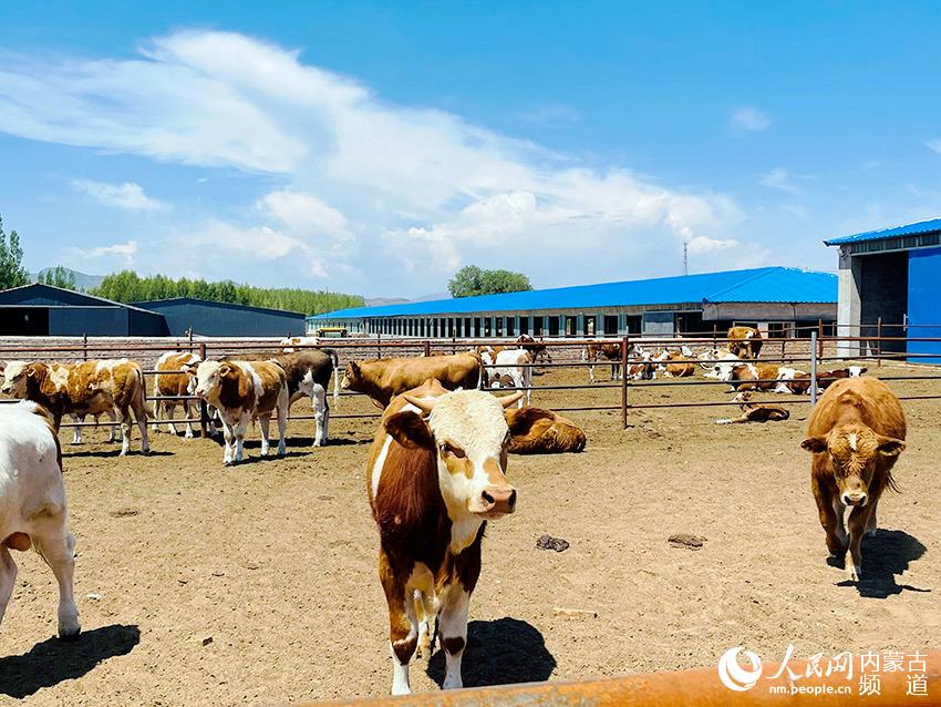 OB(yng)ţС^(q)F(xin)xW(wng) ޔz