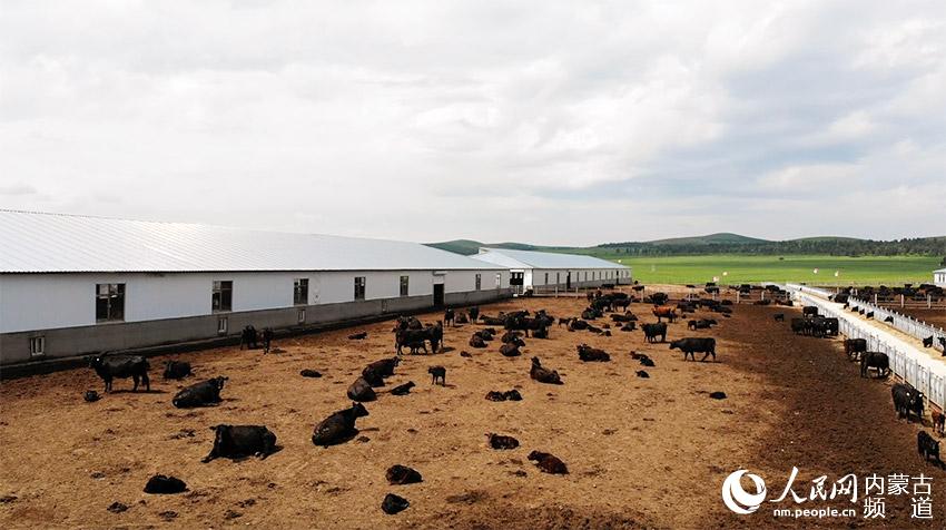 ɠİ˹ţBֳ˹ţ@ҡW ϼz