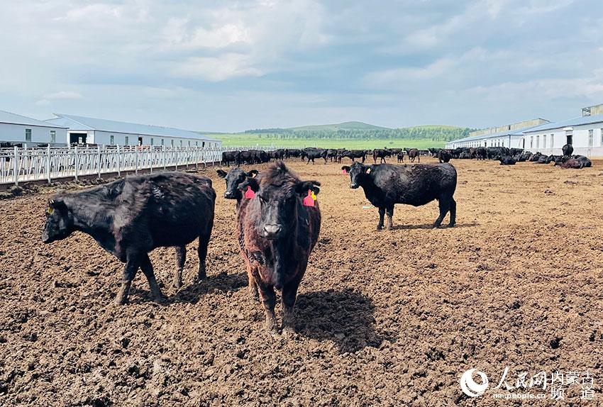 ɠİ˹ţB(yng)ֳ˹ţ̫ؕꖡW(wng) ޔz