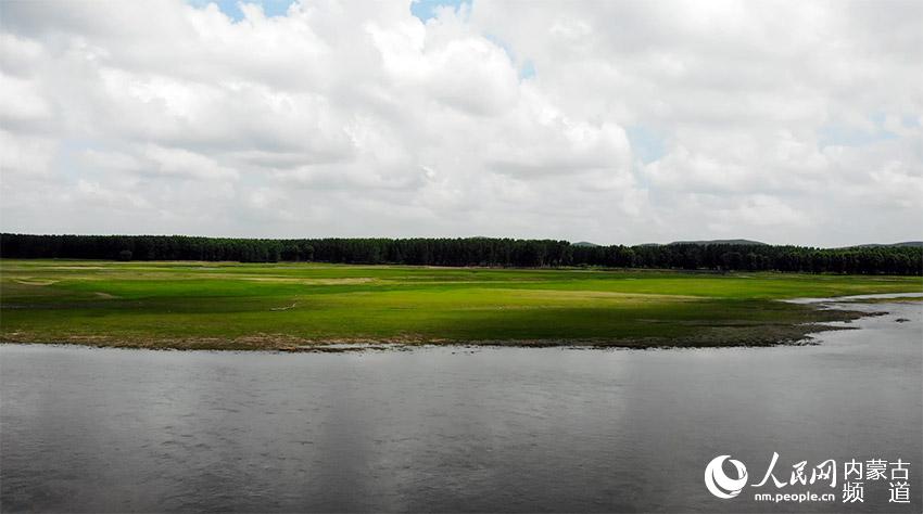 ڰ̹²ԭƯĿpW(wng) ϼz