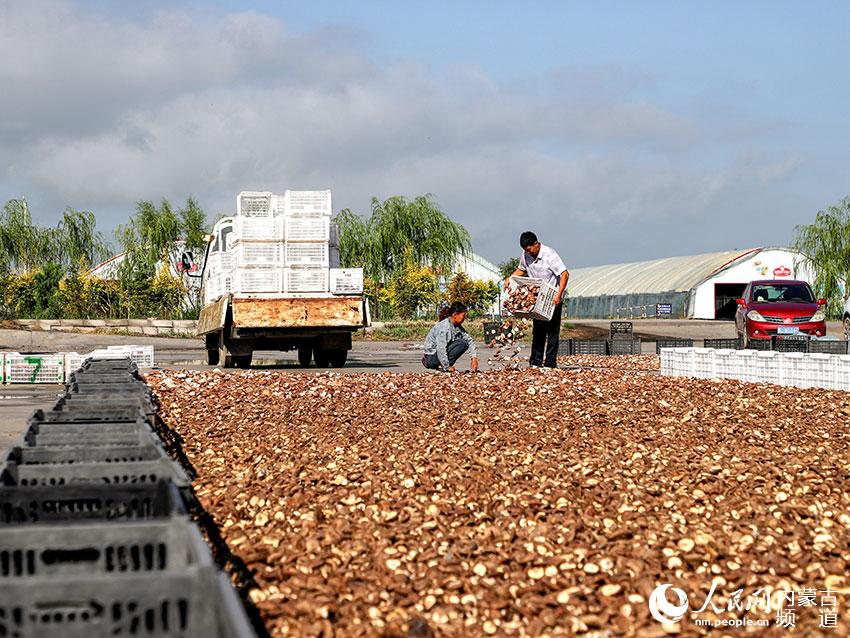 sSk̎a(chn)I(y)@l(f)չɫa(chn)I(y)Ksz