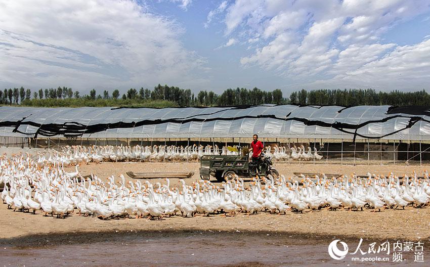 yD悴~{BZգFlչ1600ֻƽz