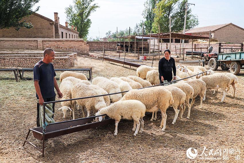 ¹悴·俿Bֳ¸Ksz