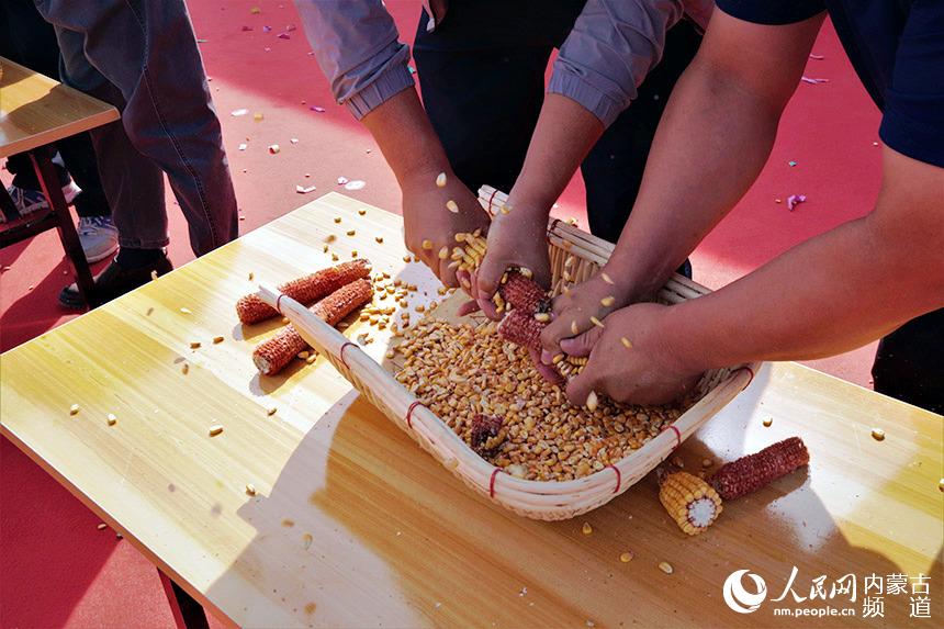 農戶正在參加剝玉米比賽。人民網 劉藝琳攝