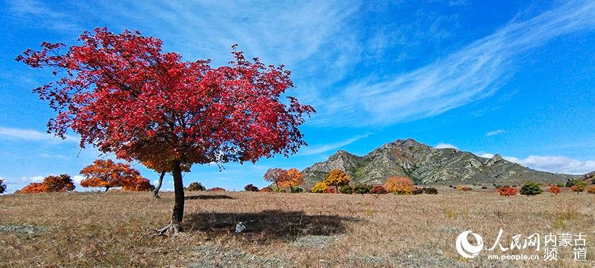 金秋五角楓美景。國建軍攝
