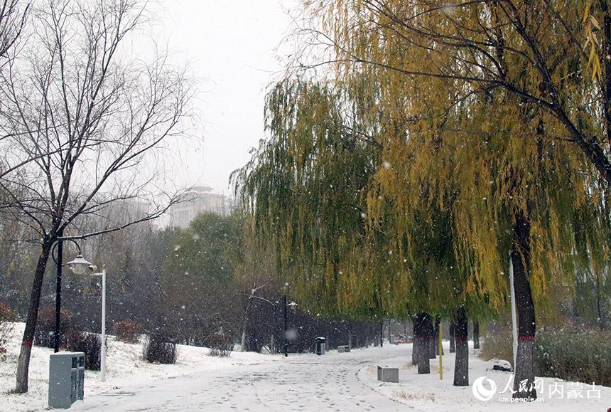 呼和浩特市落下初雪。人民網 寇雅楠攝