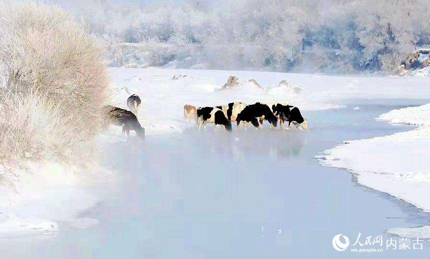 雪景如畫。蔣希武攝