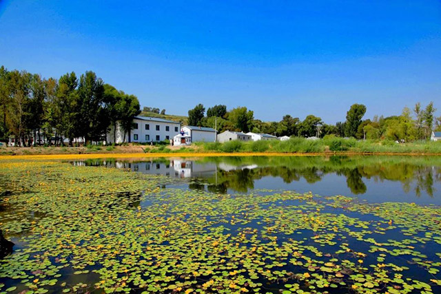 準格爾旗大路鎮小灘子村自然風光