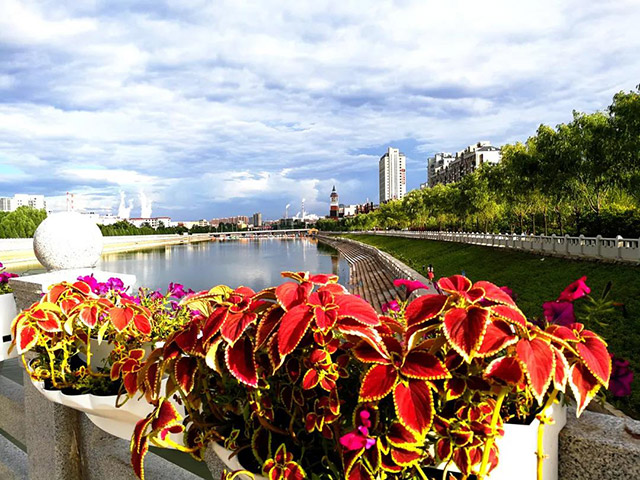 準格爾旗政府駐地薛家灣城區景觀