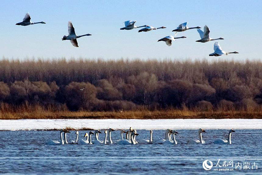 СZ輯Ơ߇ҼȻo^(q)z