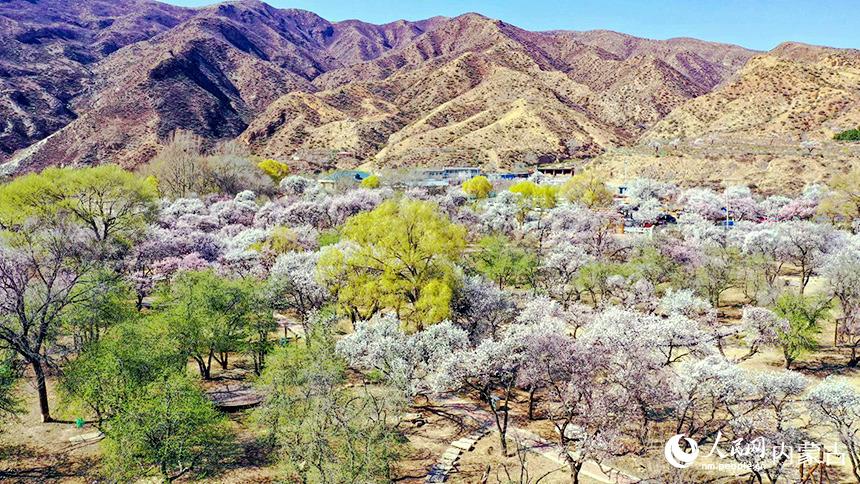 ͺл^(q)؈Dӻʢţաהz