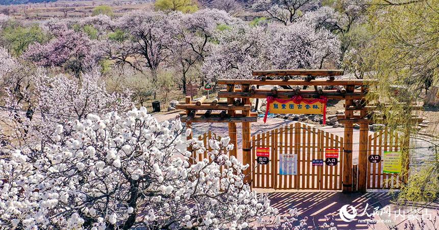 ͺл^(q)؈Dӻʢţաהz