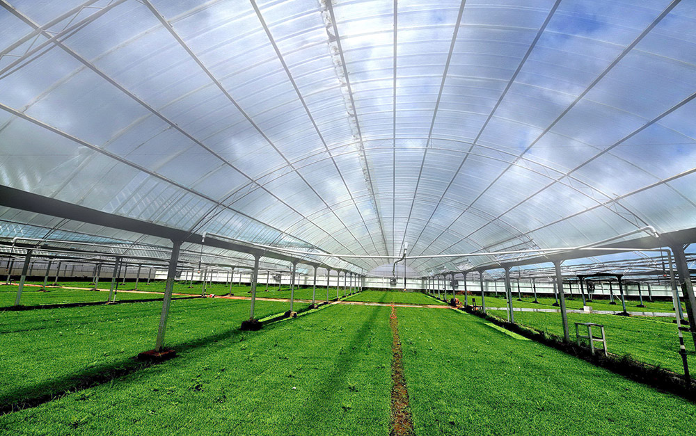 現(xiàn)代農(nóng)業(yè)示范種植