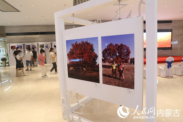攝影展活動現場。畢力格攝