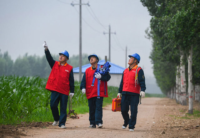 7月6日,國家電網蒙東電力(科右前旗)科爾沁鎮供電所共產黨員服務隊隊員在農田間巡查供電線路。新華社記者 彭源 攝