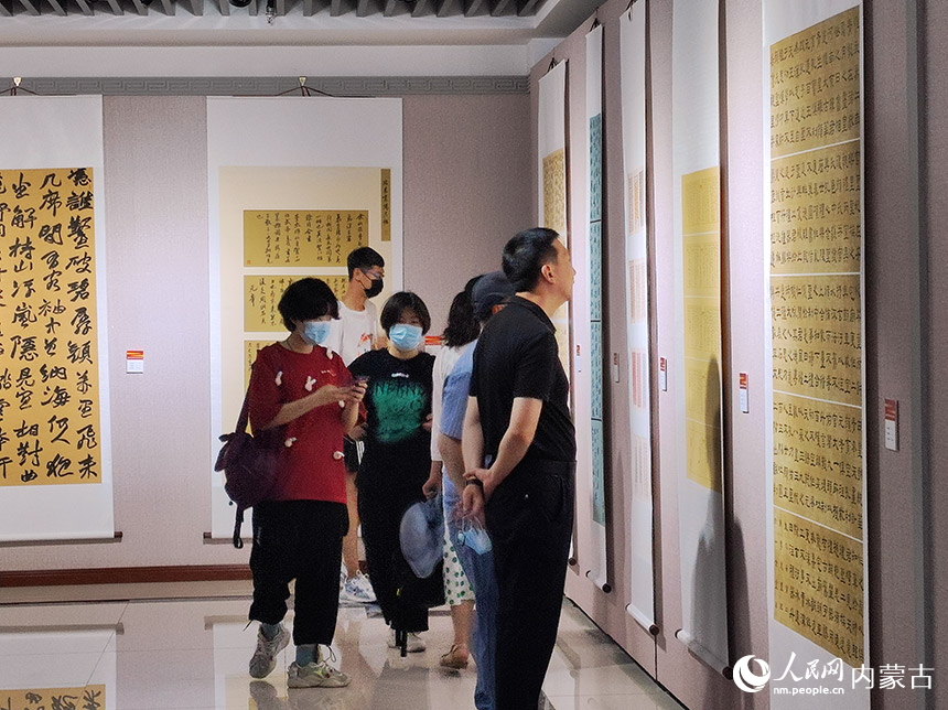 市民觀展。人民網 王慧攝