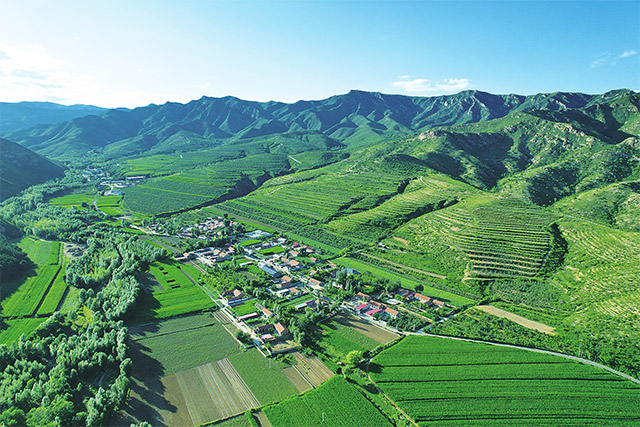 航拍下的寧城縣小城子鎮萬畝林果產業園。
