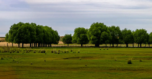 夏日烏審召。德勒嘿攝