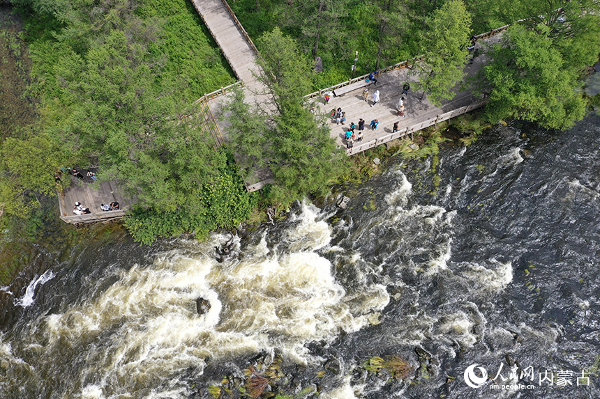 阿爾山國家森林公園航拍。畢力格攝