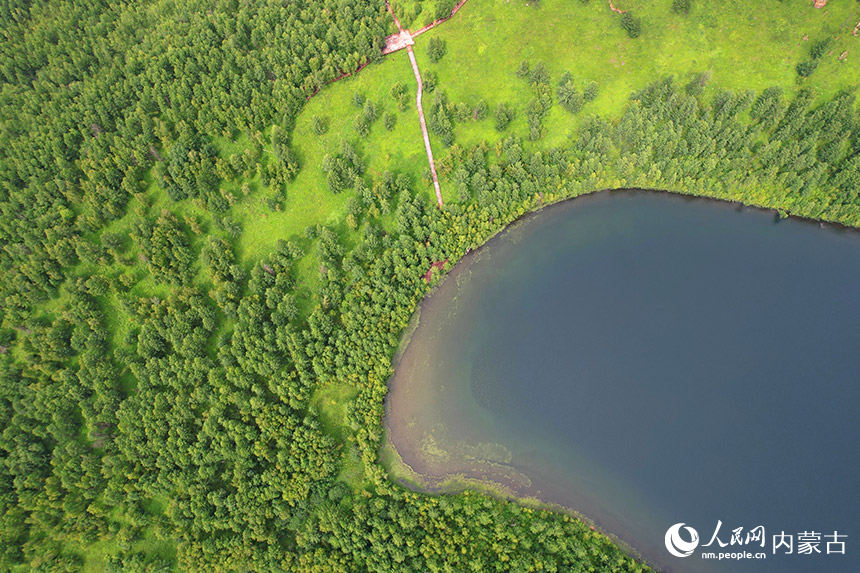 阿爾山國家森林公園航拍。王健攝