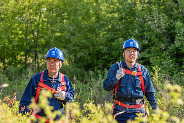 國網阿爾山市供電公司供電員工加強10千伏線路巡視確保供電萬無一失 。付浩銘攝