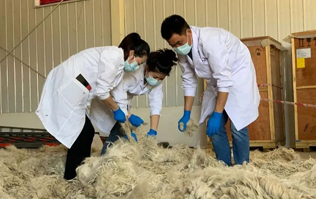 羊絨細(xì)度檢測(cè)