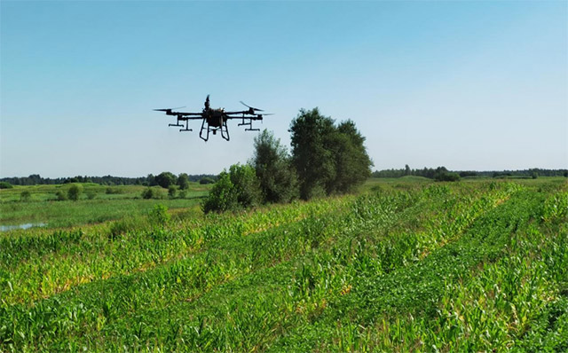 科左后旗農業技術推廣中心利用植保無人機為雙勝鎮大豆玉米帶狀復合種植地塊噴施葉面肥。