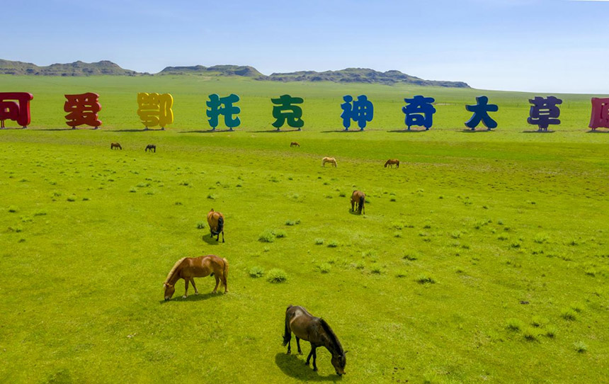 可愛鄂托克，神奇大草原。