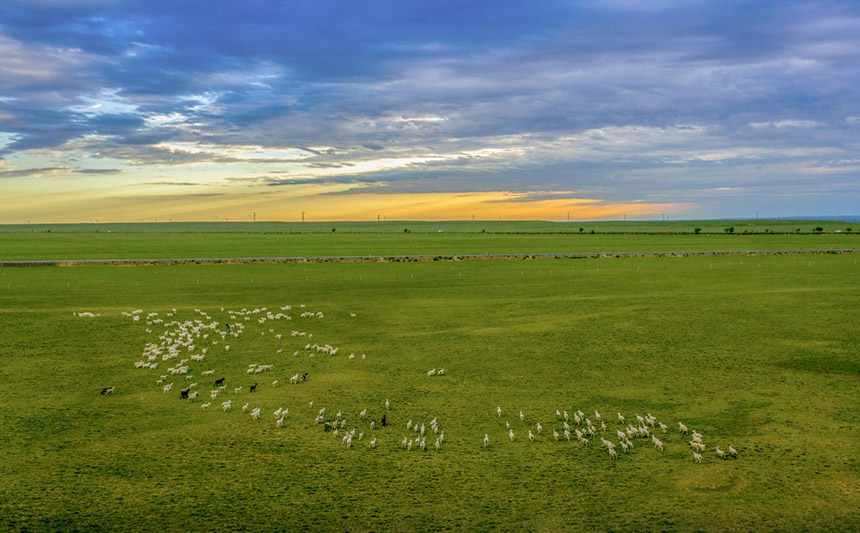 深入草原腹地，風(fēng)景盡收眼底。