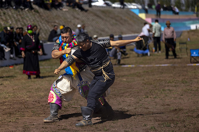 斗智斗勇的博克競技。
