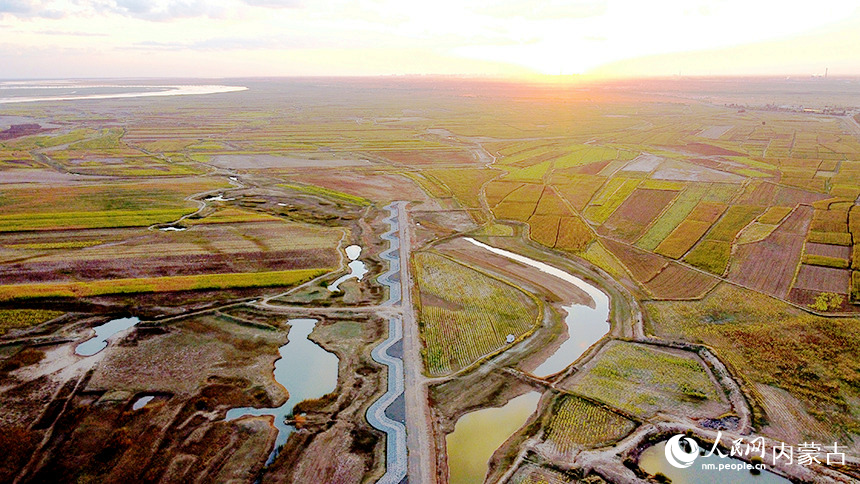 黃河岸邊良田萬頃。齊鴻雁攝