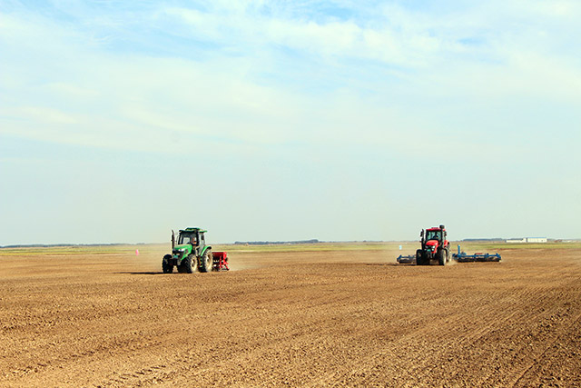 機(jī)器在田間作業(yè)，播種羊草。韓飛攝