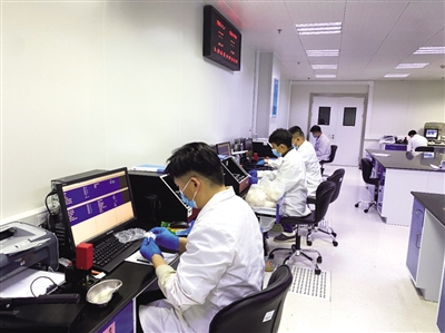 內蒙古自治區纖維質量監測中心技術人員進行絨山羊纖維細度動態監測。