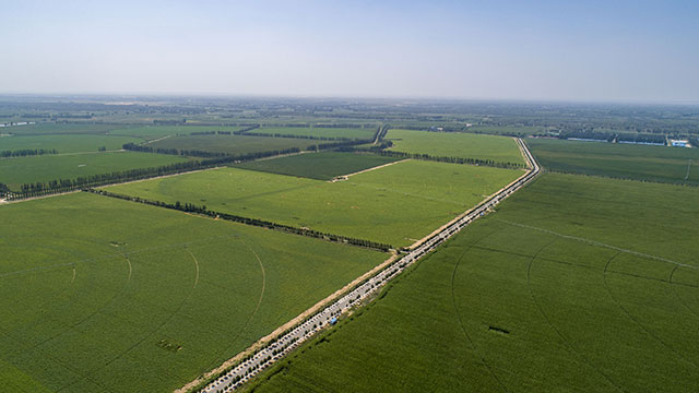 高標準農田項目區