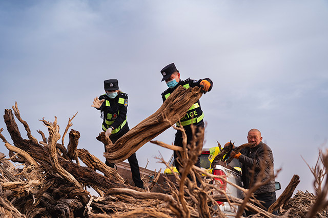 幫助群眾撿拾柴火