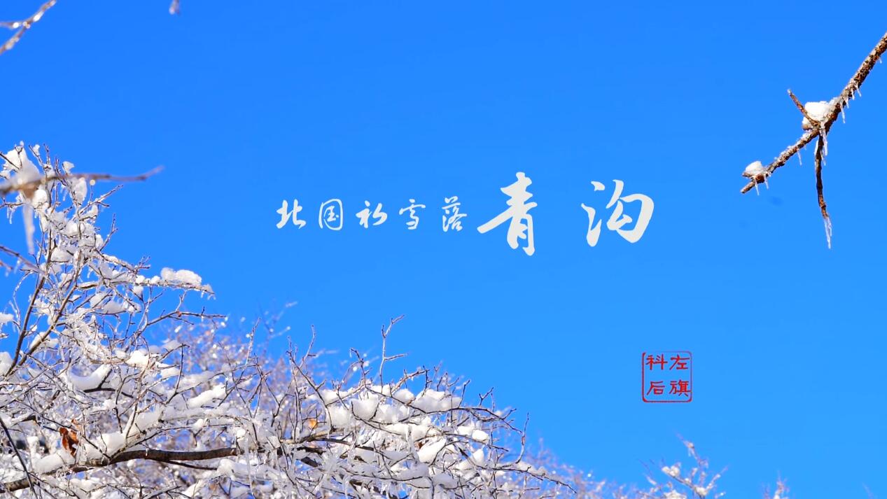 北國初雪落青溝