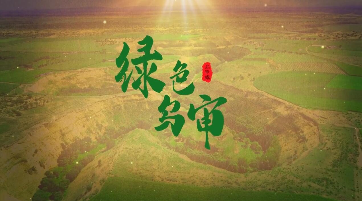 為筑牢我國北方重要生態安全屏障貢獻烏審力量