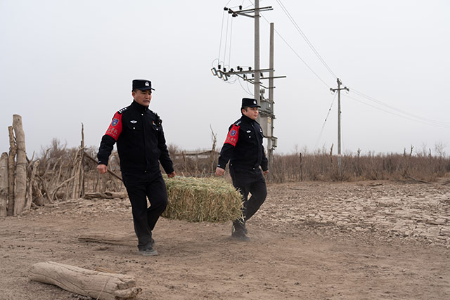 民警幫助牧民搬運(yùn)草料。