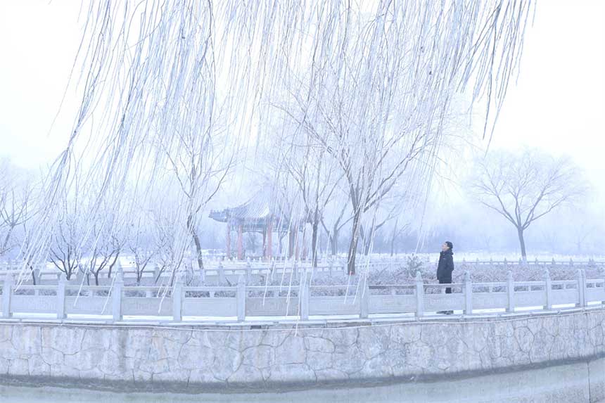 水墨丹青美如畫。高迎峰攝