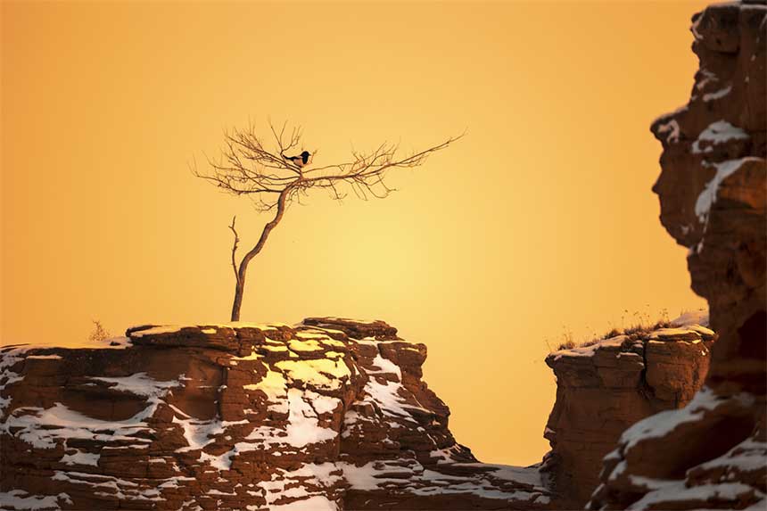 雪后的砂巖地貌。欣坤達來攝