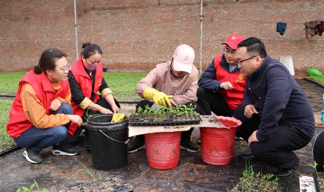 黨員干部到基層學習育苗技術