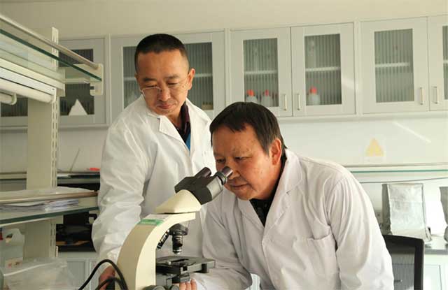 農(nóng)牧領域人才正在進行項目研究