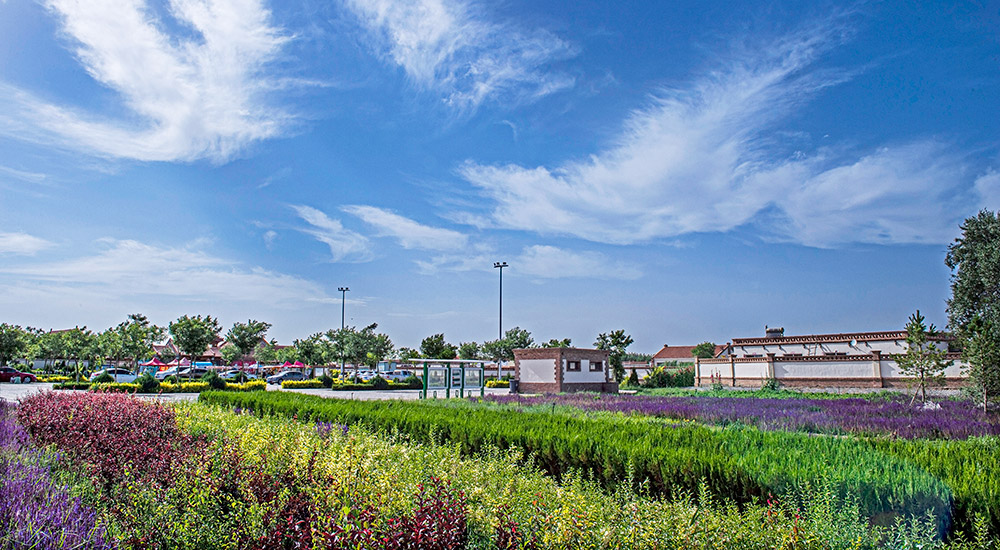 內蒙古巴彥淖爾市臨河區狼山鎮富強村