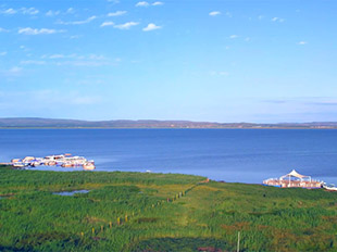 描繪時代新畫卷