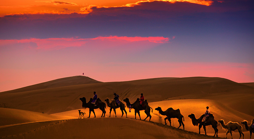 奈曼旗大漠駝鈴