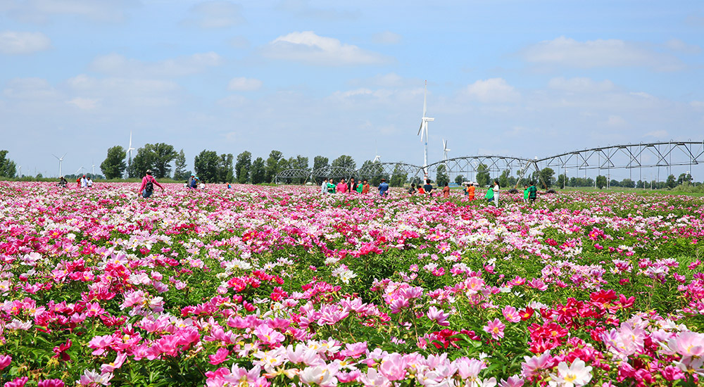 風光無限珠日河